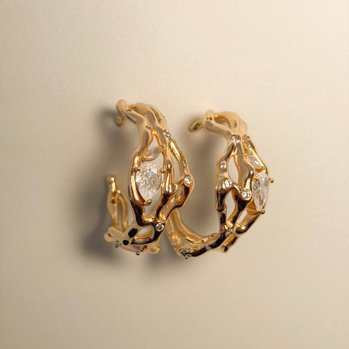 Argola orgânica cravejada